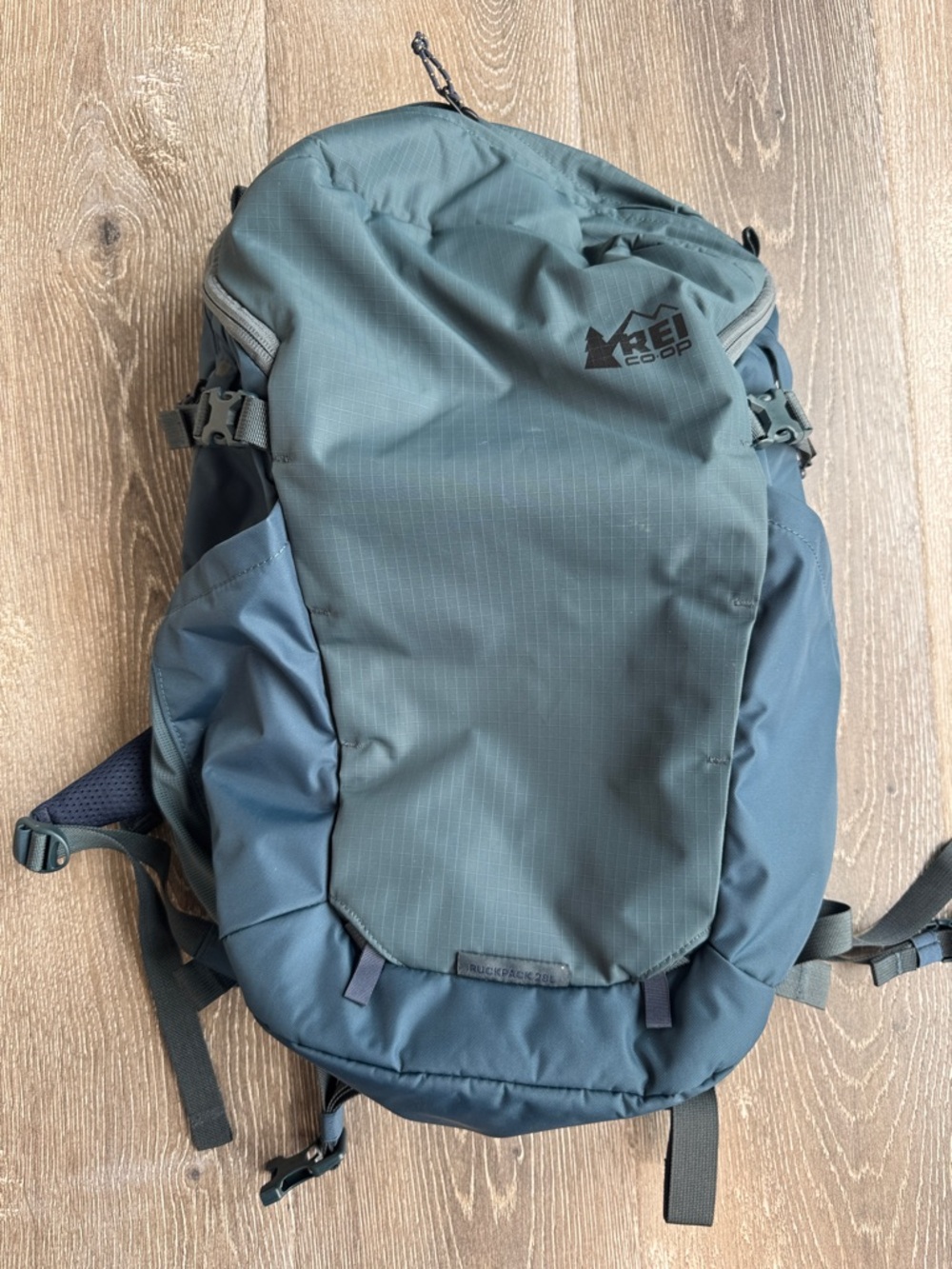 REI Ruckpack 18L Two-Tone Green and Blue Daypack